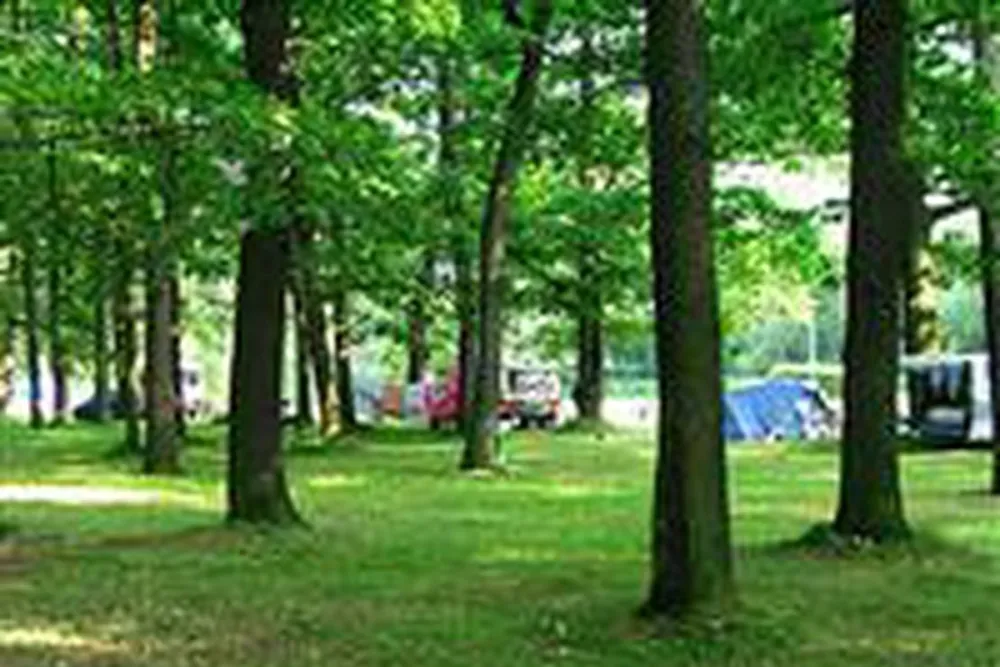 Camping Dębina