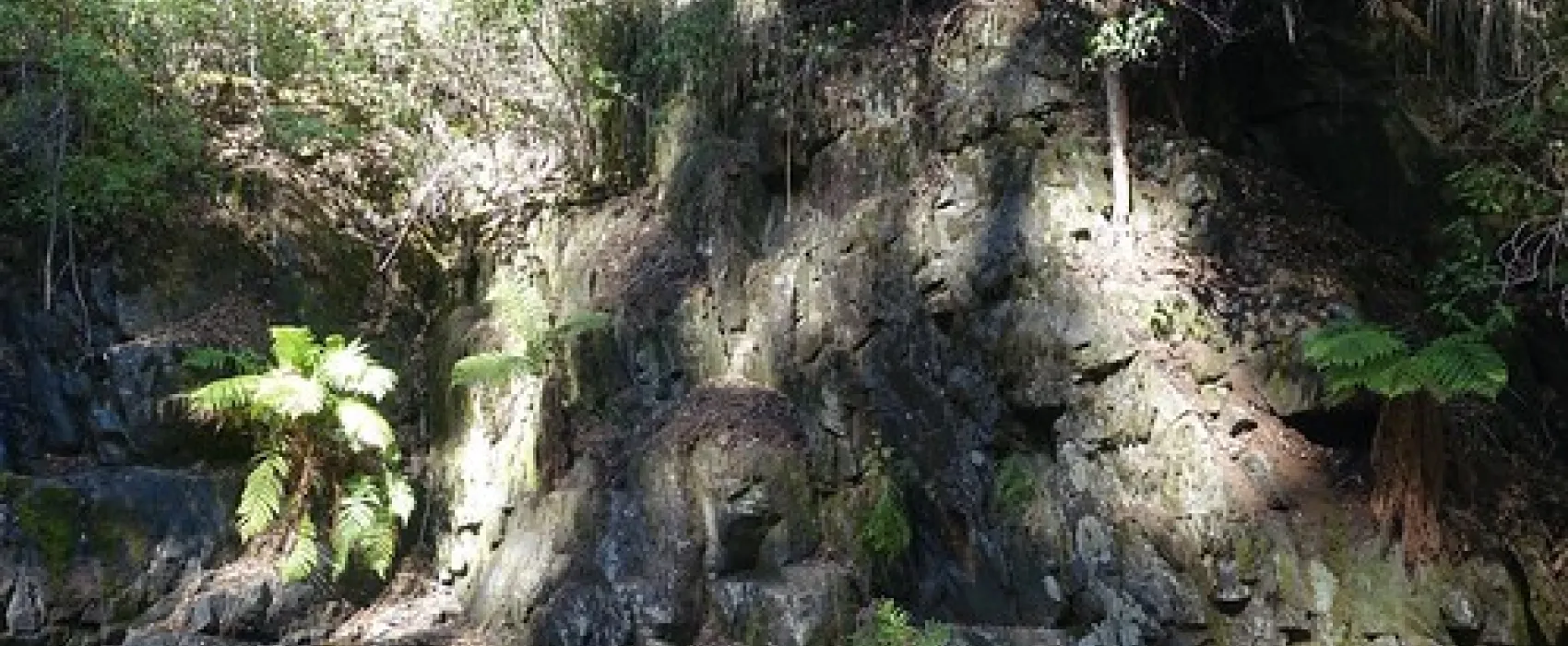 Lilydale Falls Campground