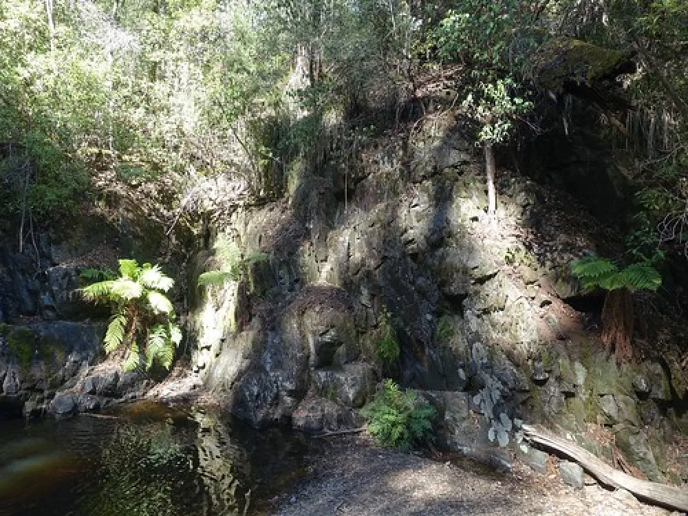 Lilydale Falls Campground