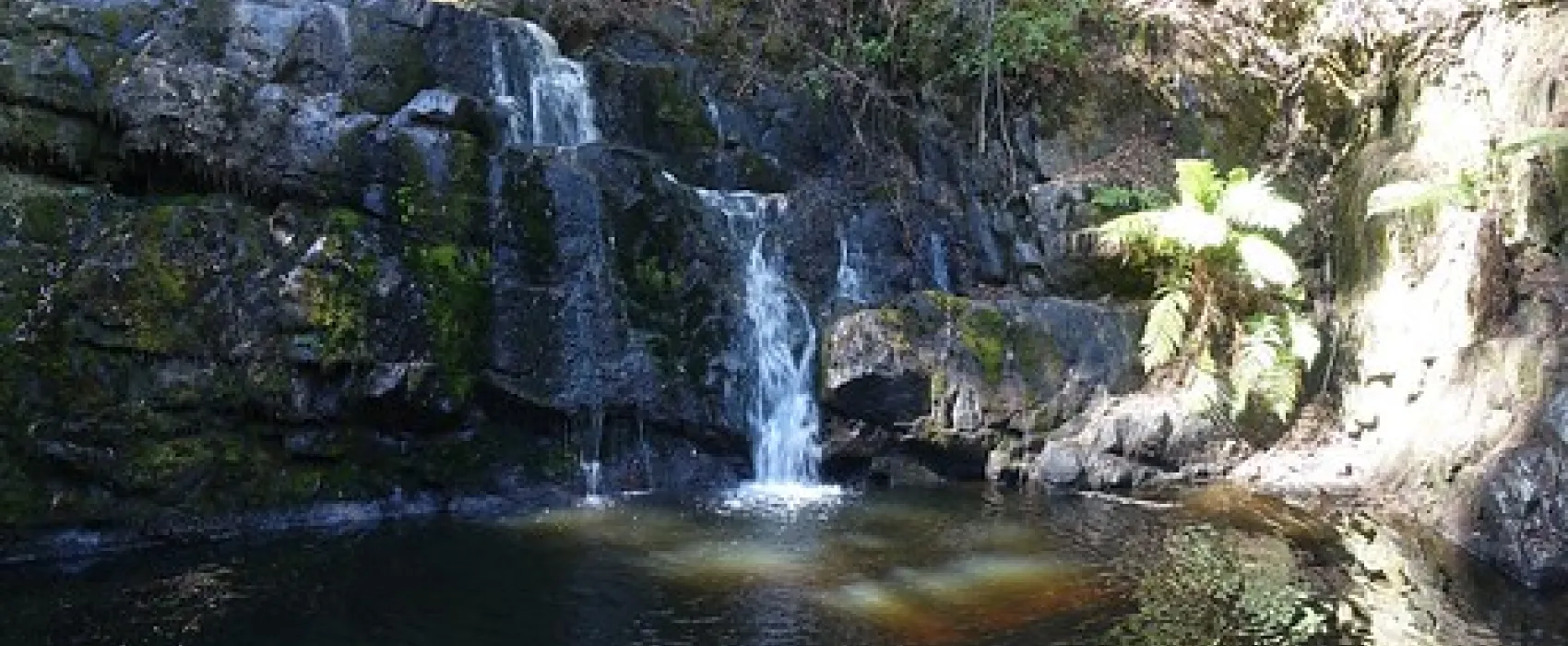 Lilydale Falls Campground