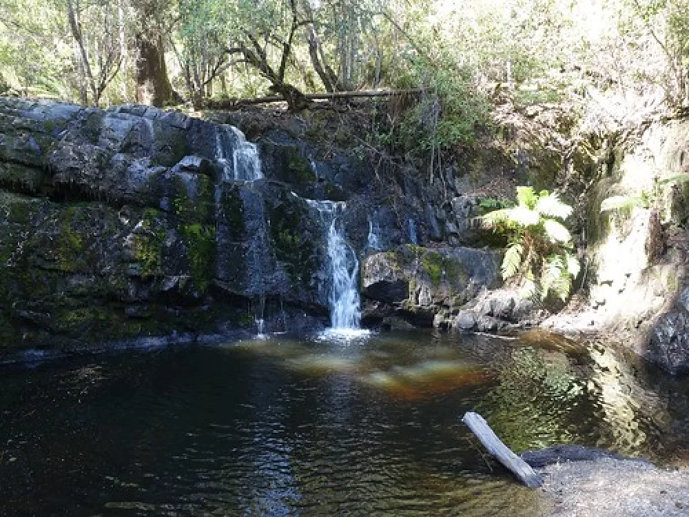 Lilydale Falls Campground