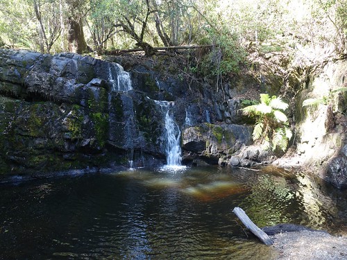 Lilydale Falls Campground photo 3