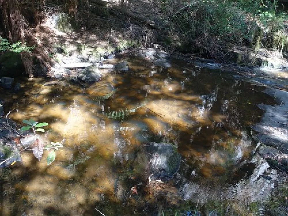 Lilydale Falls Campground