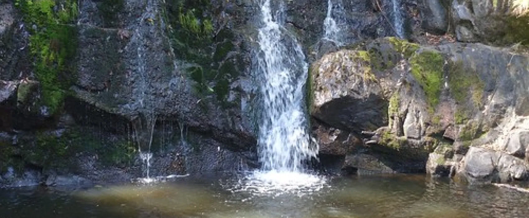 Lilydale Falls Campground