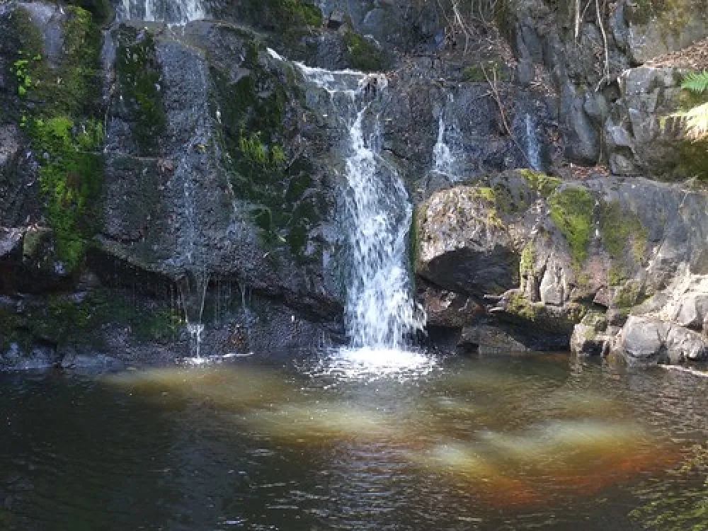 Lilydale Falls Campground