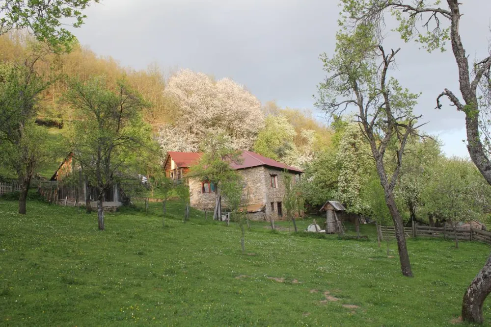 Eco village Pšeničište