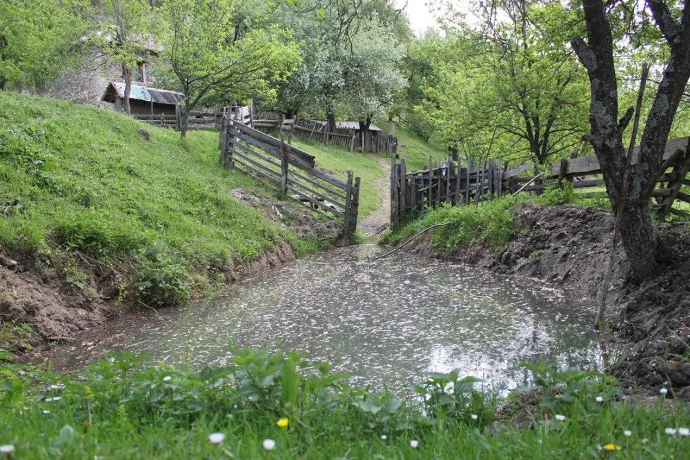 Eco village Pšeničište