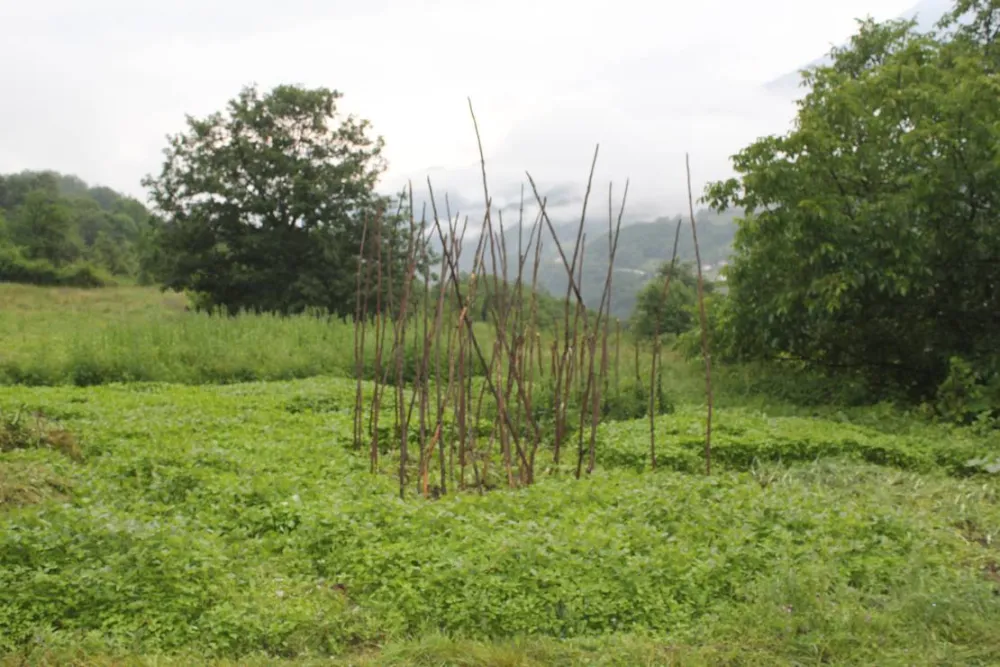 Eco village Pšeničište