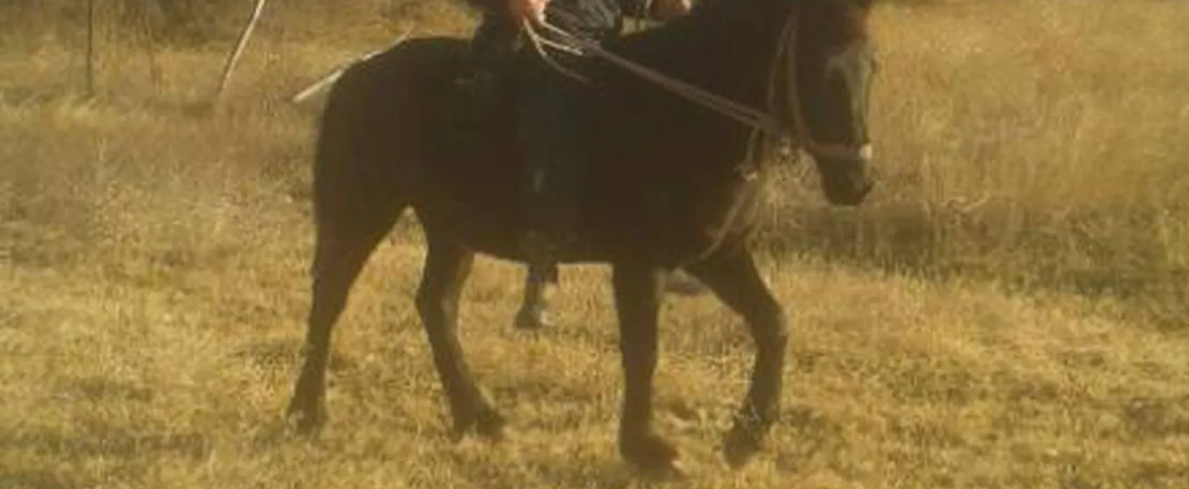 Eco village Pšeničište