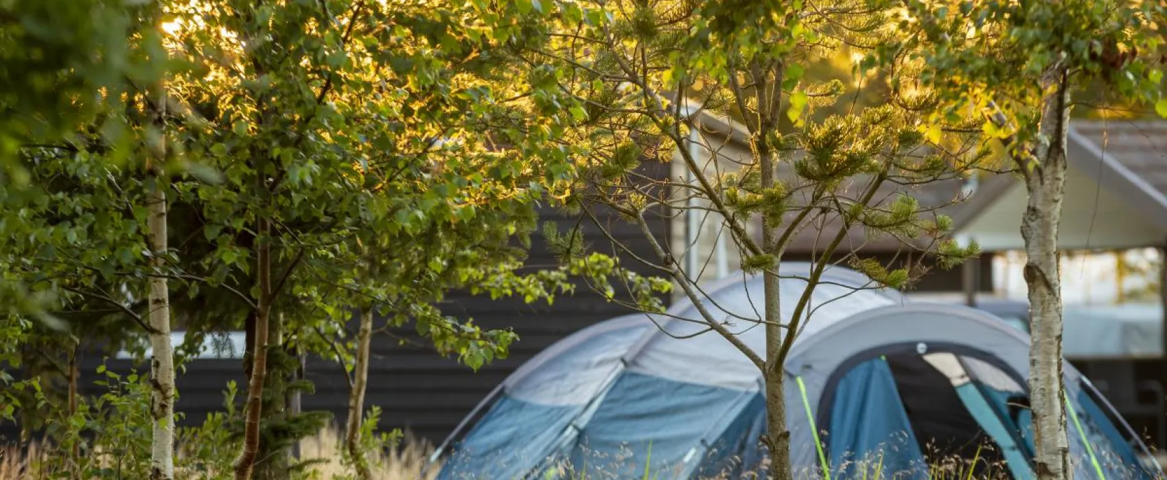 DCU Camping Ålbæk Strand