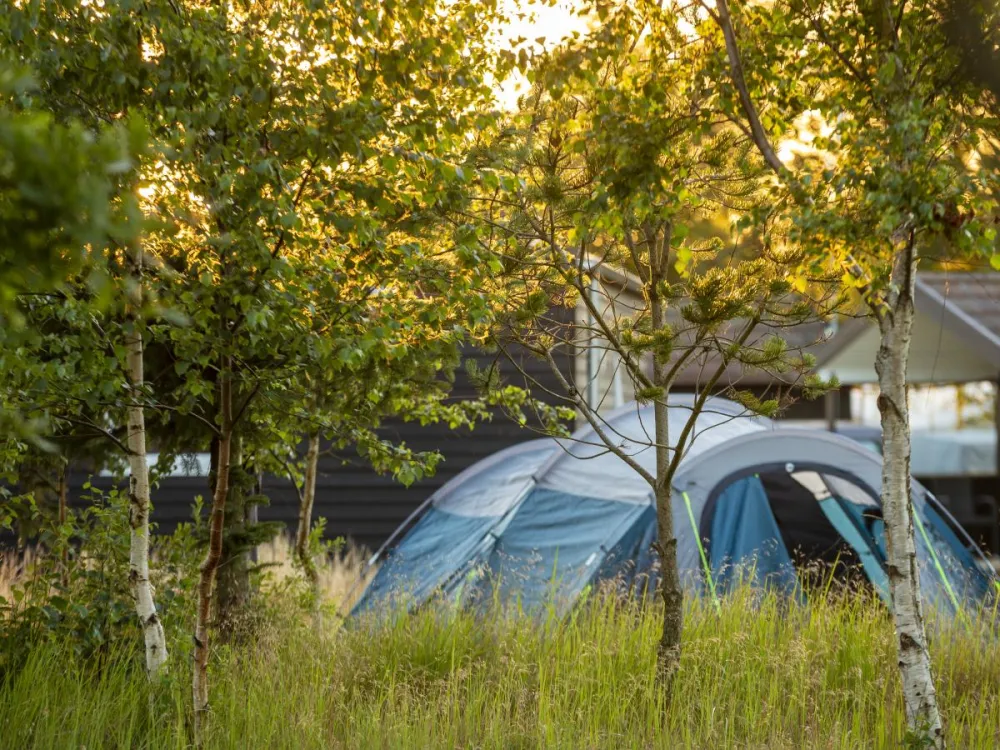 DCU Camping Ålbæk Strand