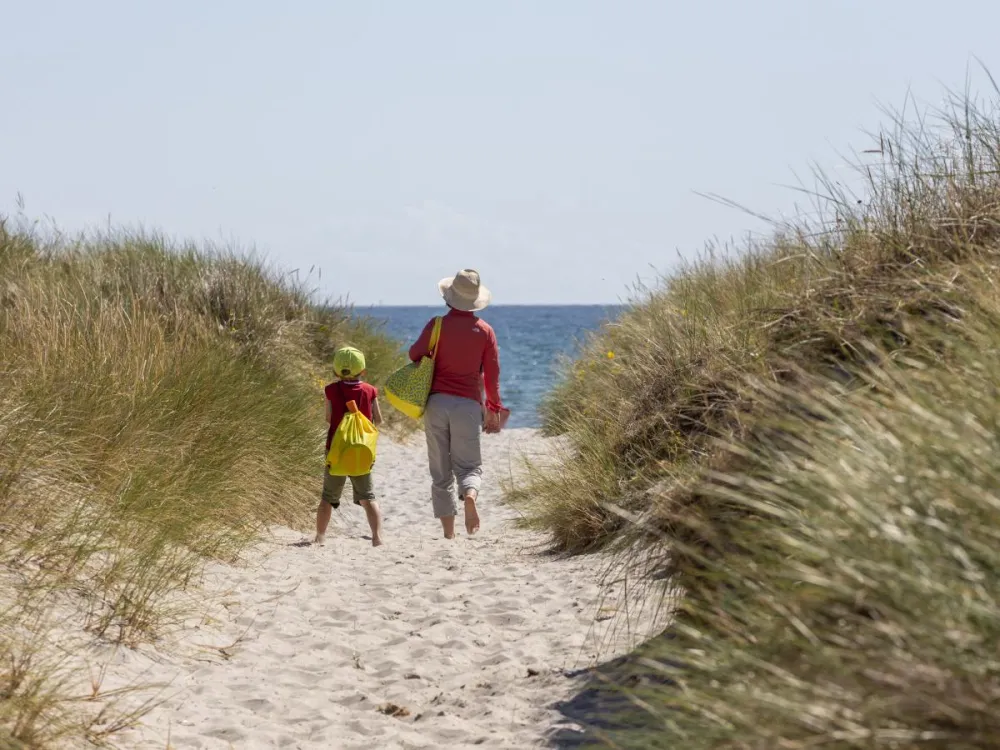 DCU Camping Ålbæk Strand