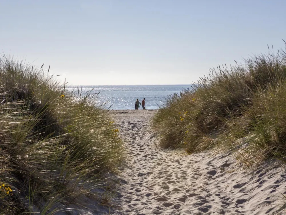 DCU Camping Ålbæk Strand