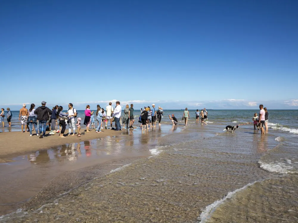 DCU Camping Ålbæk Strand