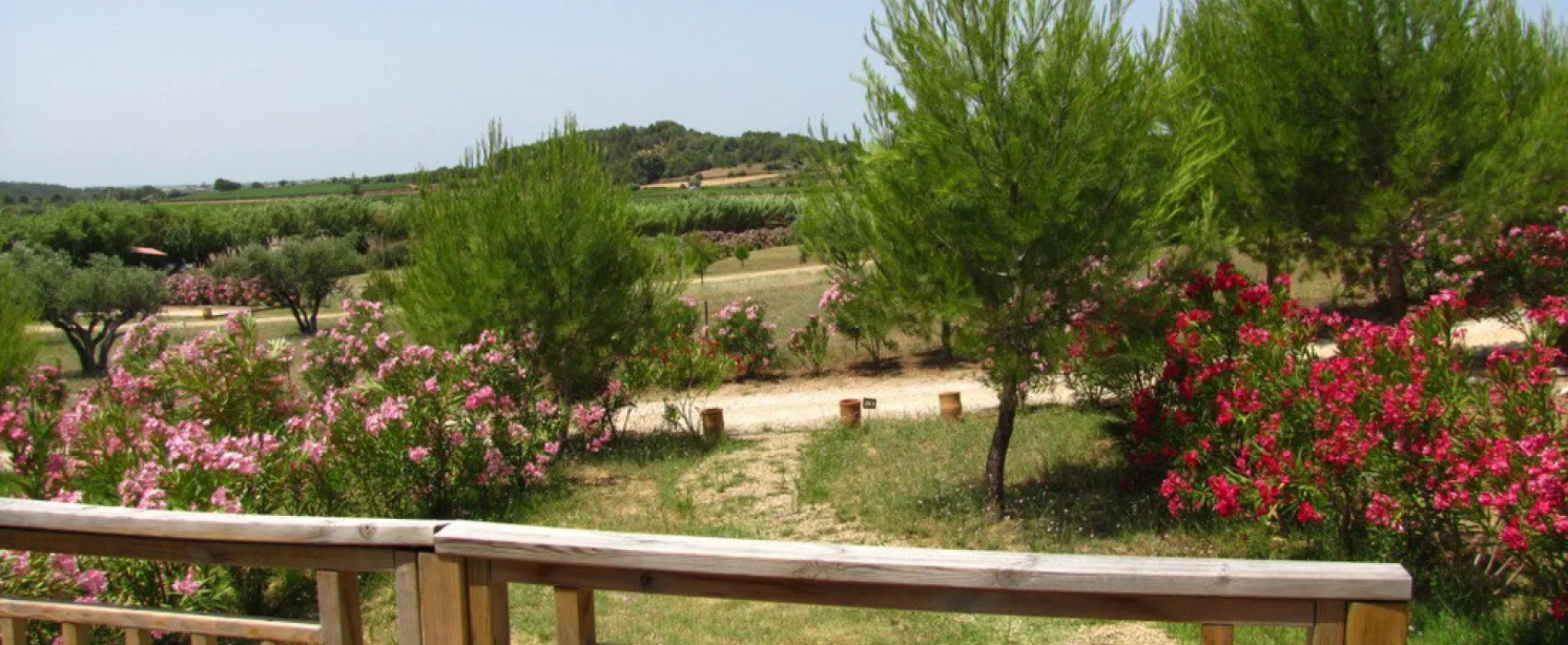 Residentiel la Pinede