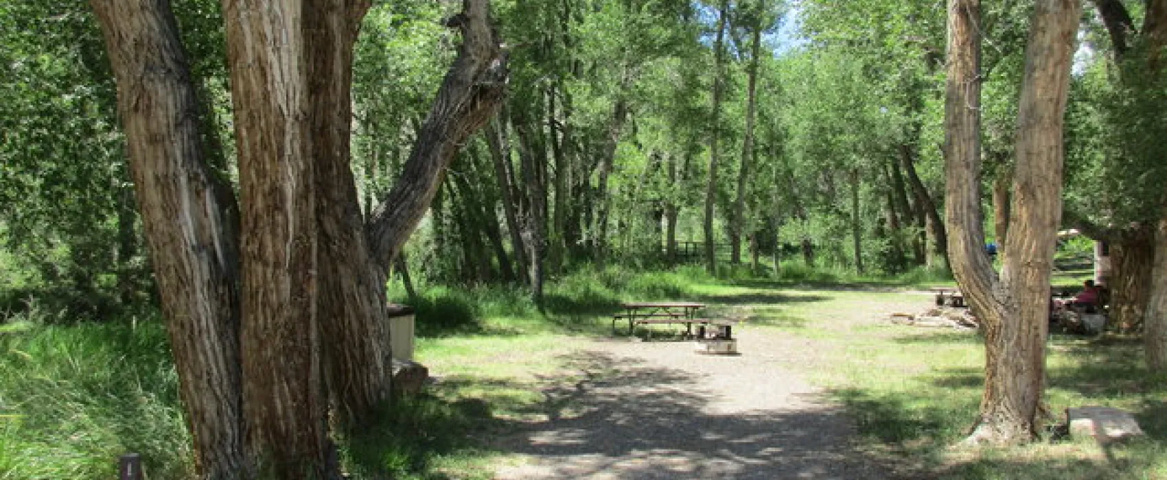 Dry Gulch Campground