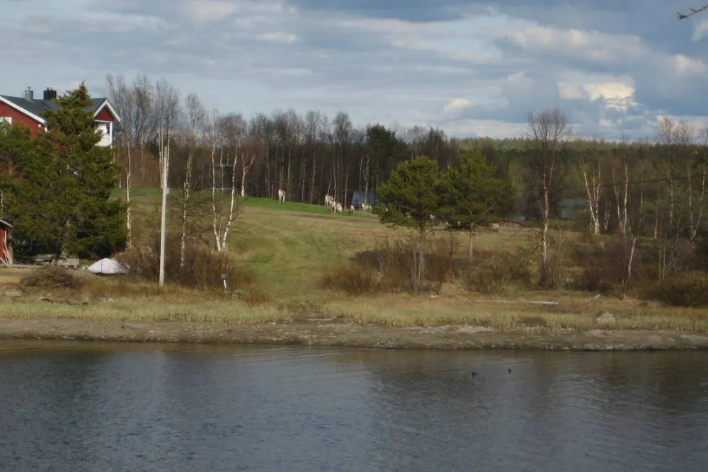 Kyrkans Fjällgård Jäkkvik