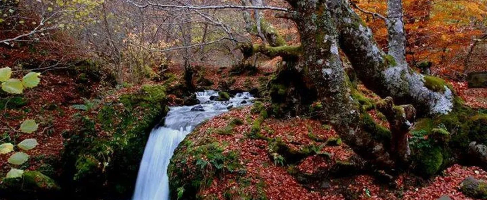 El Cares Picos de Europa