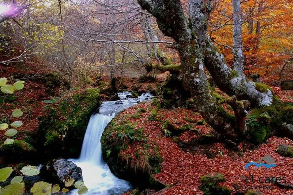 El Cares Picos de Europa