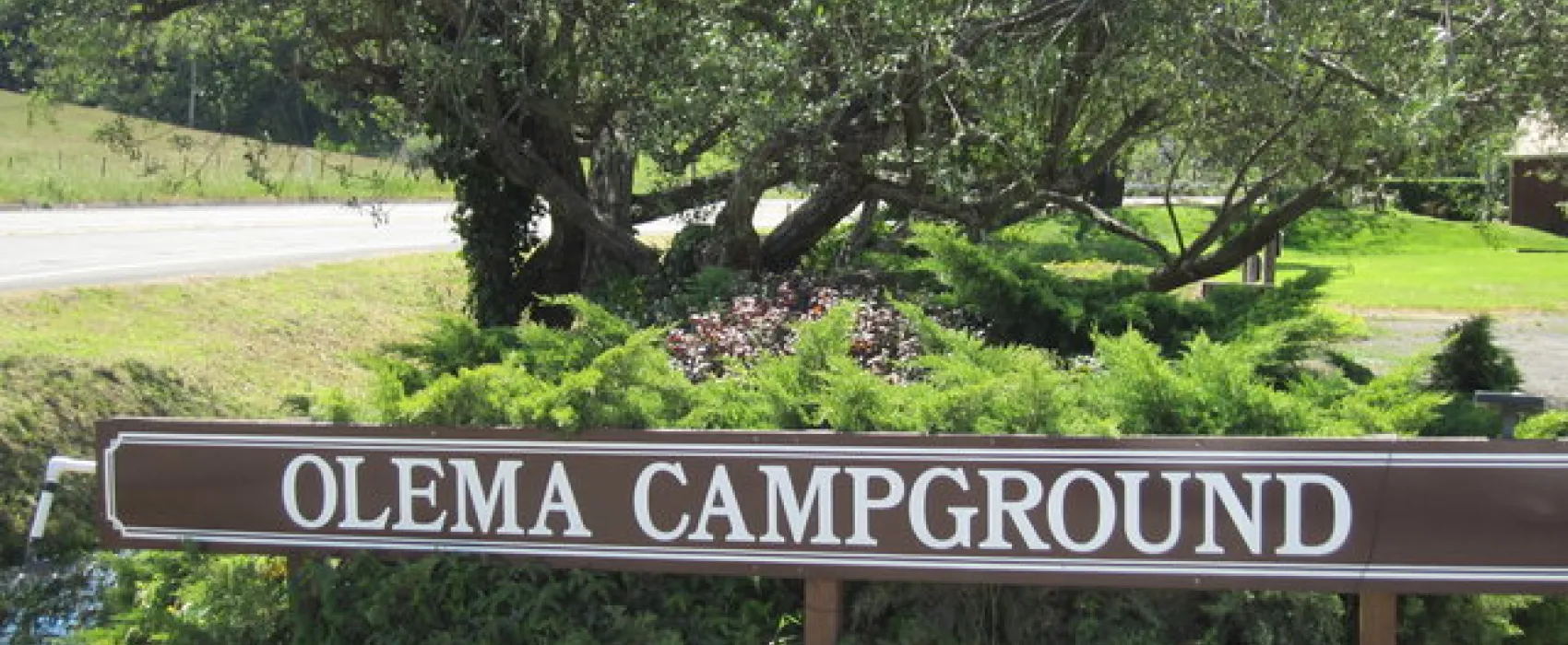 Olema Campground