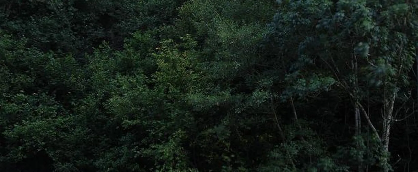 Boerderijcamping La Chazalet