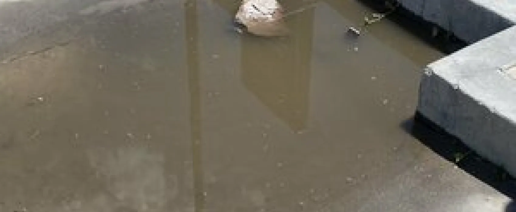 Lahontan Dam Overlook RV Dump Station