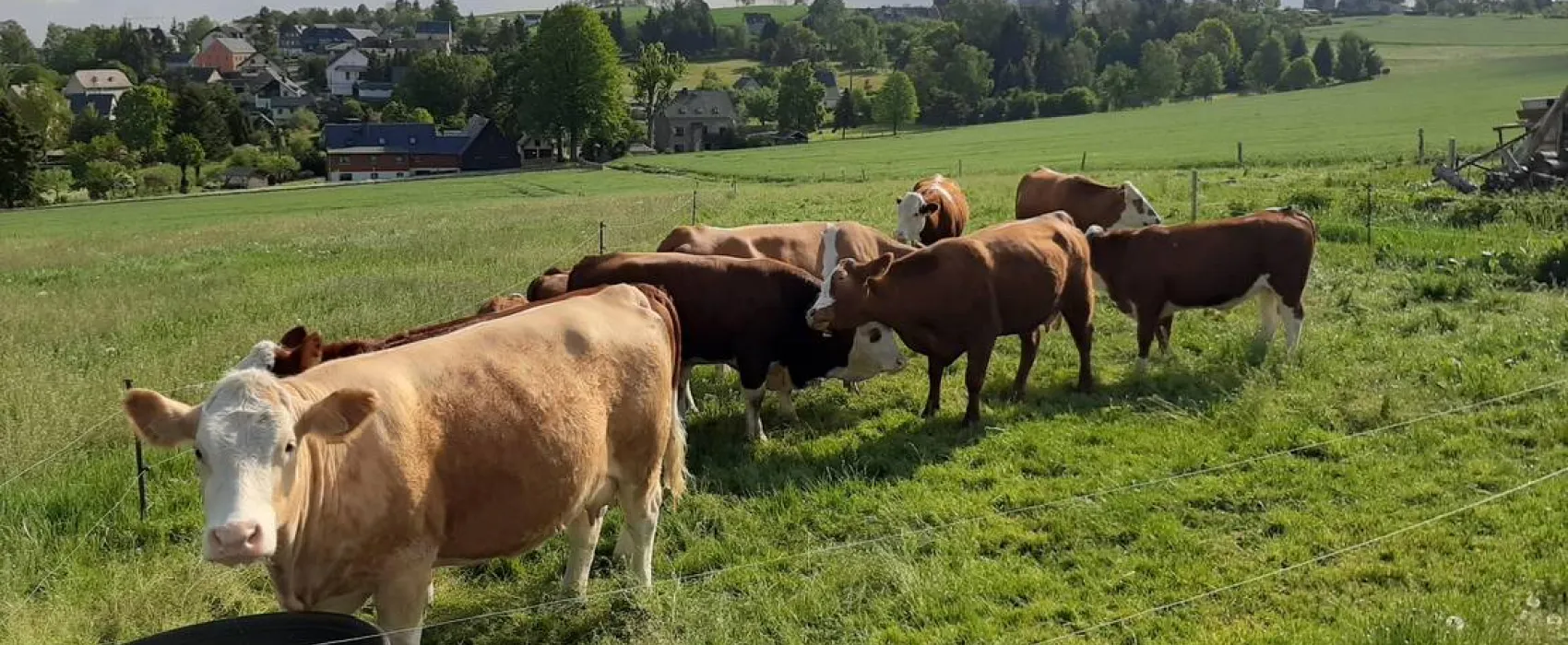 Minicamping Hoheneck am Bauernhof