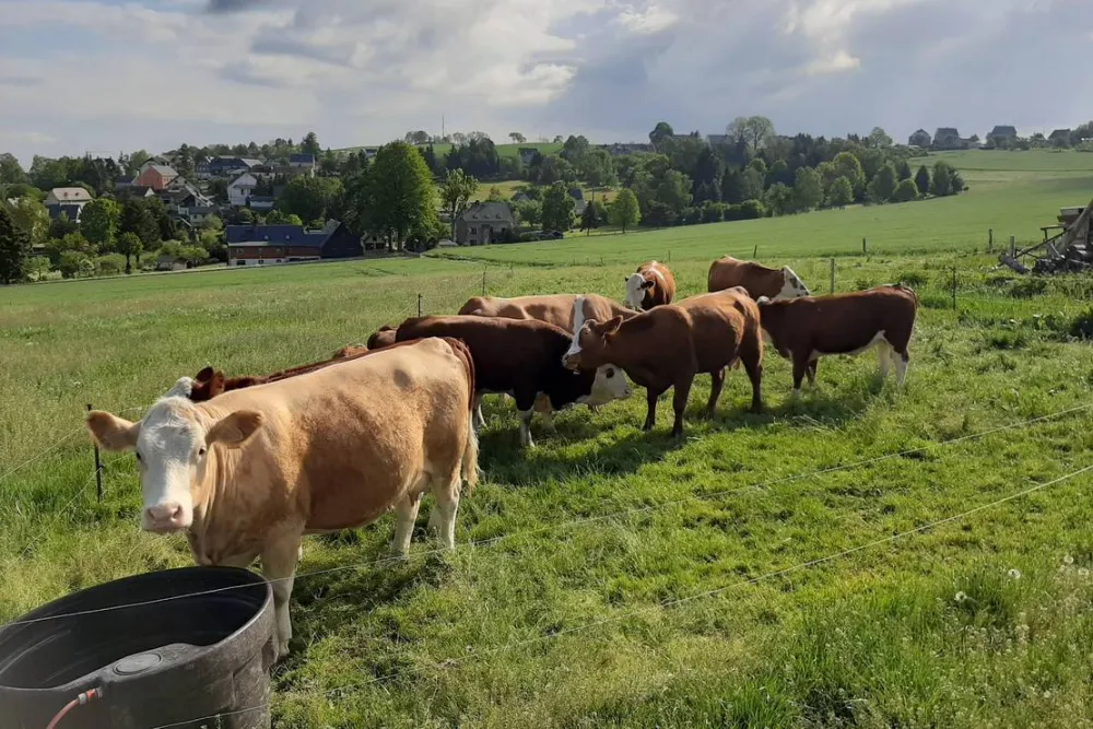 Minicamping Hoheneck am Bauernhof
