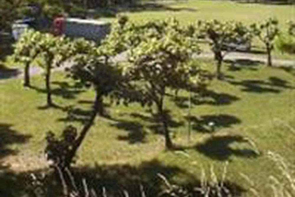 Camping Municipal du Collet-de-dèze