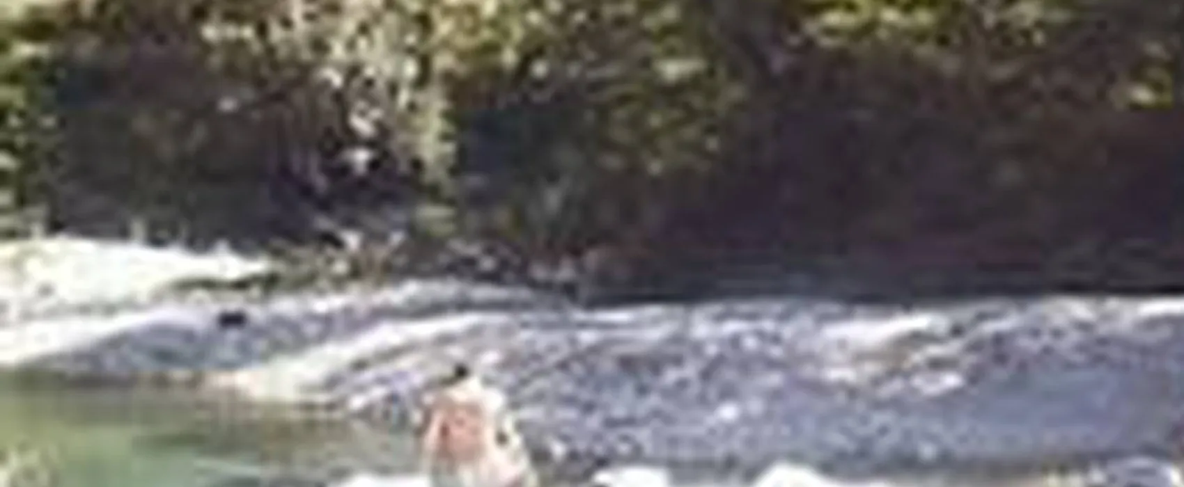 Camping Municipal du Collet-de-dèze