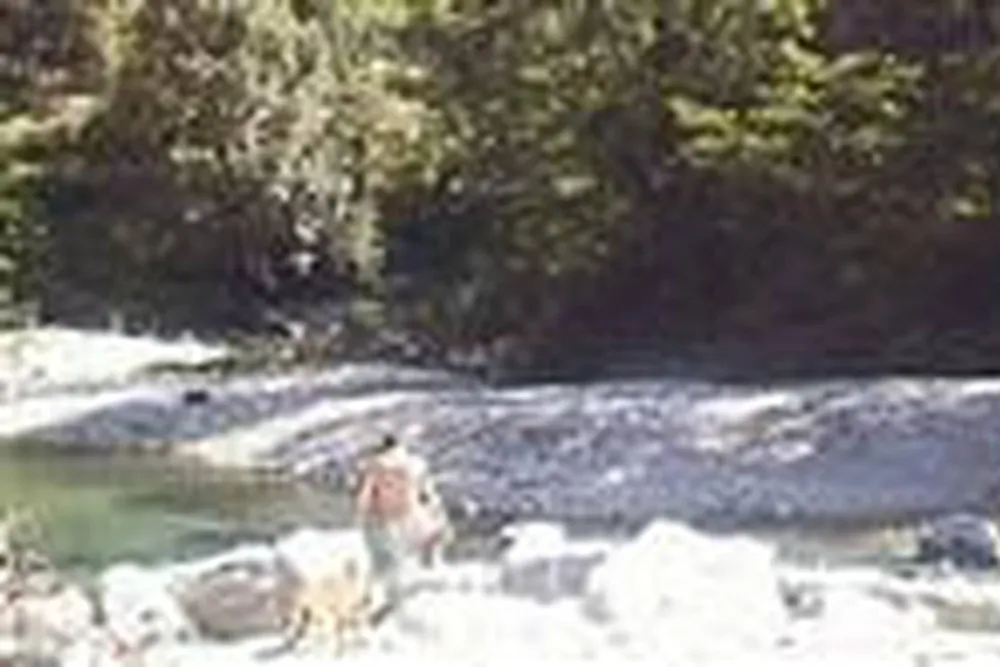 Camping Municipal du Collet-de-dèze