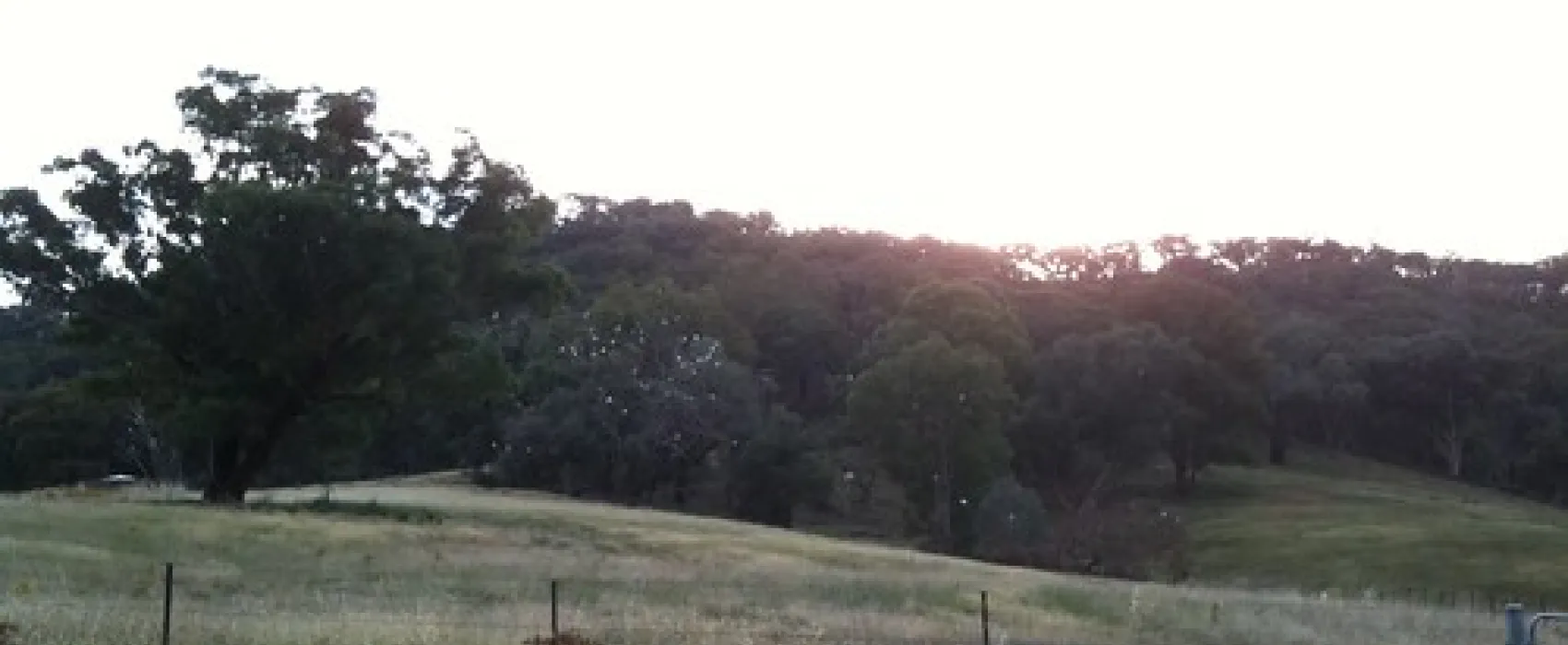 Wee Jasper Billy Grace Reserve Campground