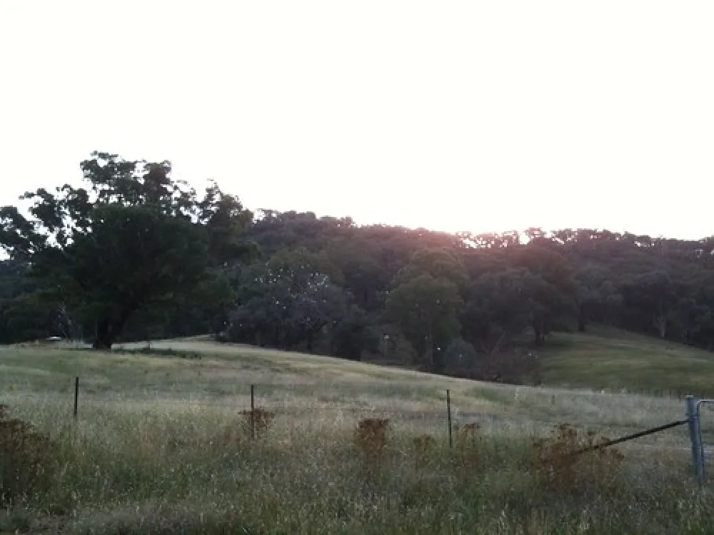 Wee Jasper Billy Grace Reserve Campground