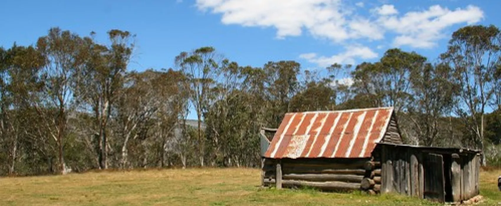 Davies Plain Hut Campground