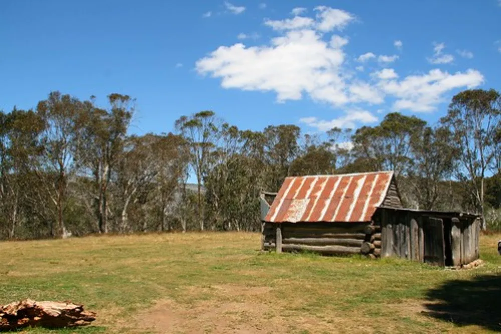 Davies Plain Hut Campground