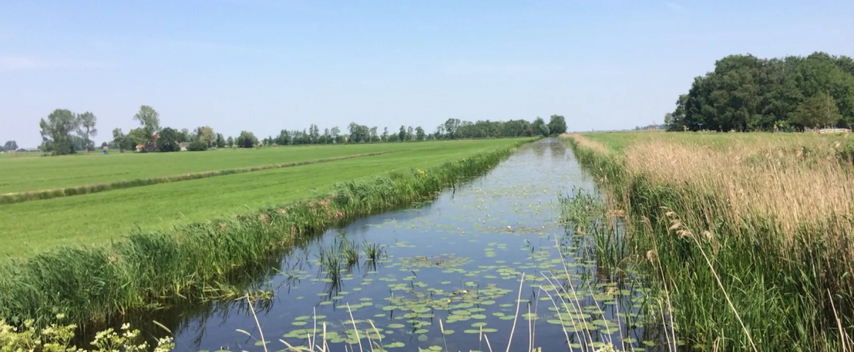 Minicamping Het Zwerversnest