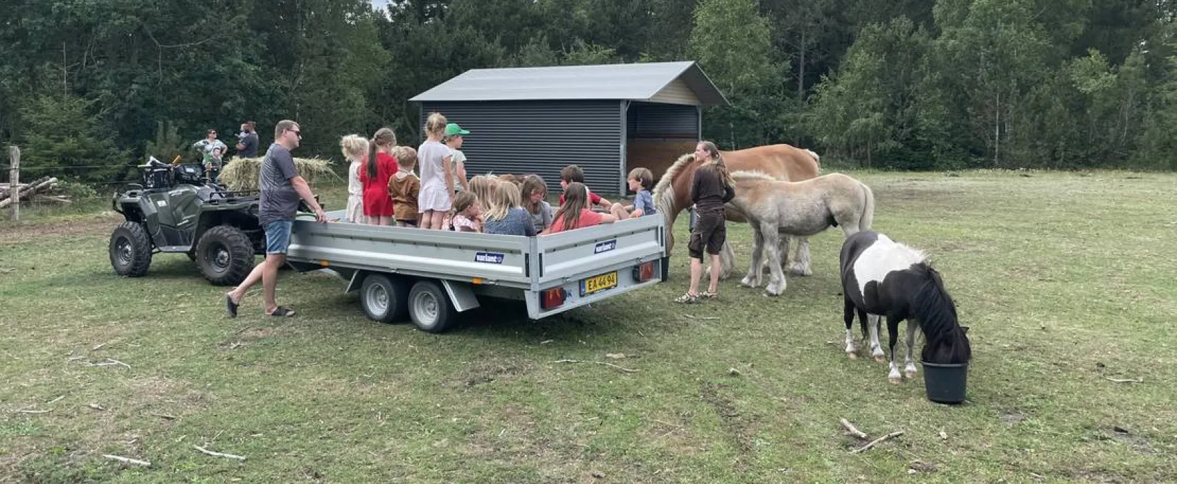 Søhøjlandets Camping