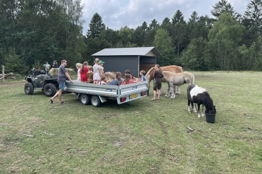 Søhøjlandets Camping