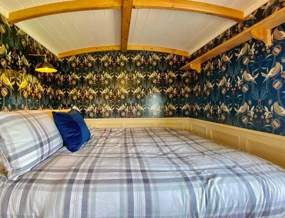 Bramble Hill Glamping