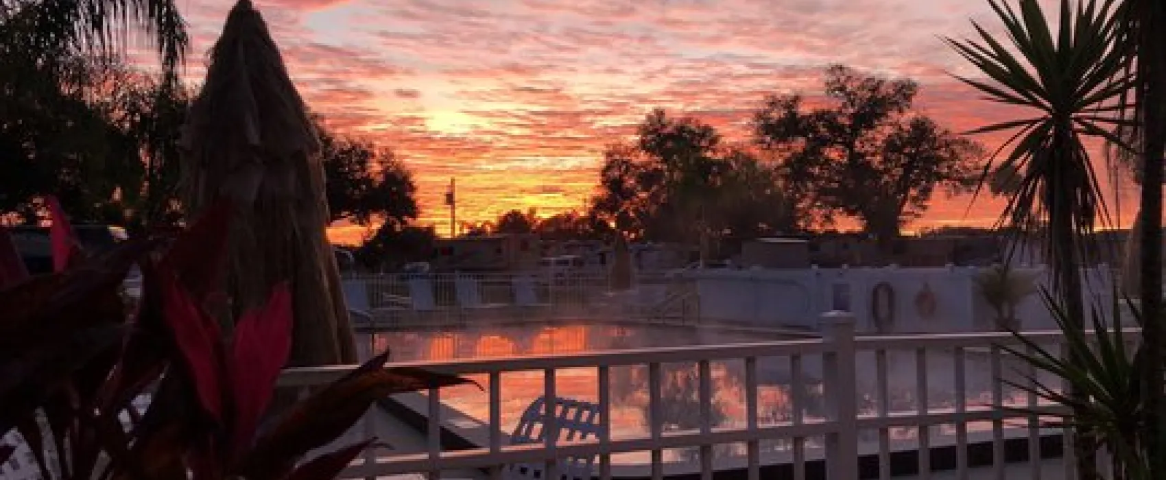 Orlando NW/Orange Blossom KOA