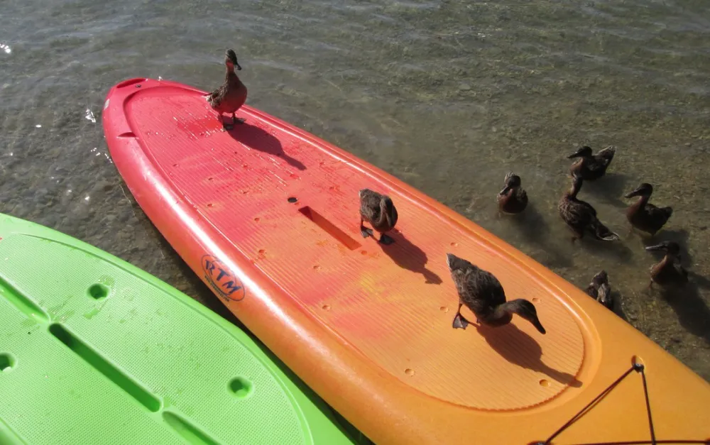 La Grisière et Europe Vacances