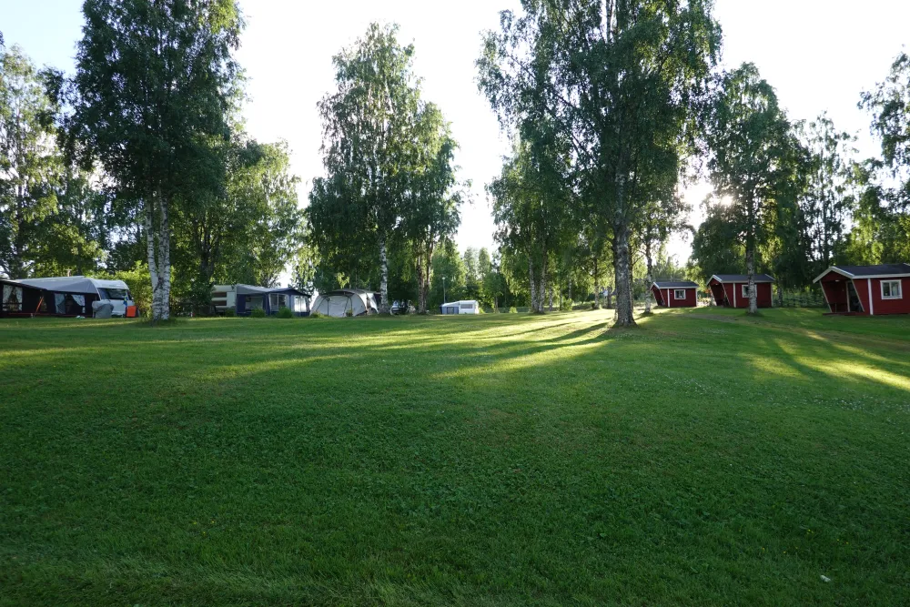 Trehörningsjö Camping & stugor