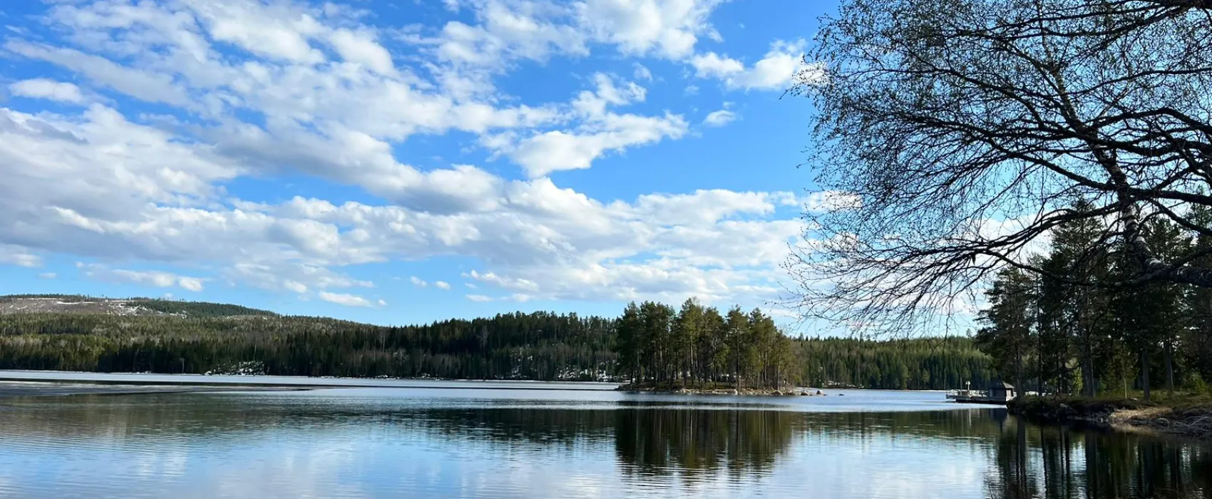 Trehörningsjö Camping & stugor