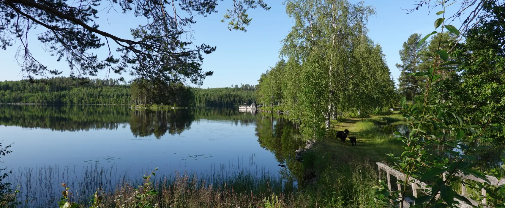 Trehörningsjö Camping & stugor