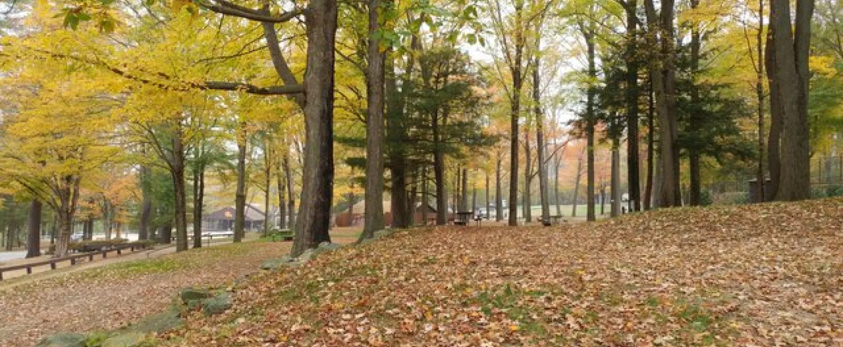 Odetah Camping Resort