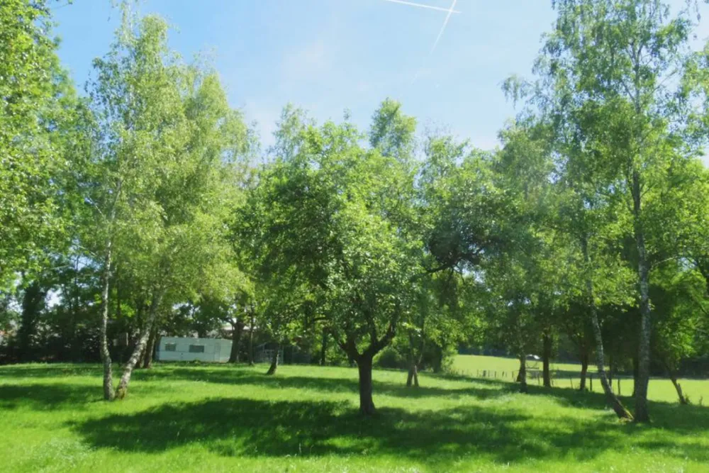 Camping aire naturelle de Chatard Louis