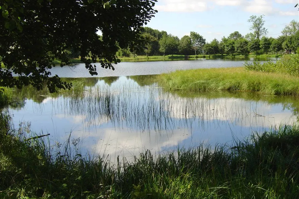 Camping du Bois de Gravière