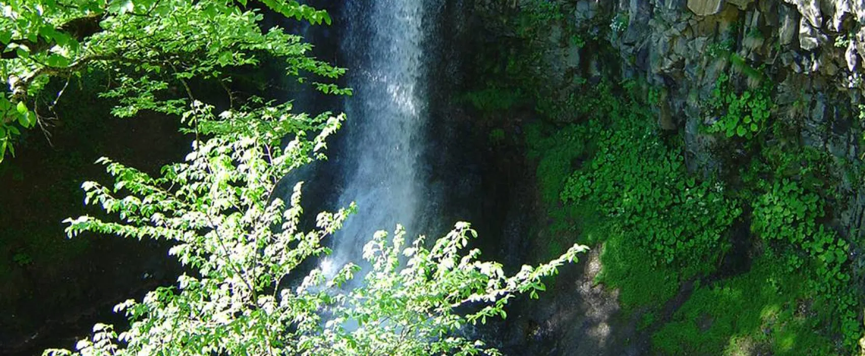 Camping du Bois de Gravière