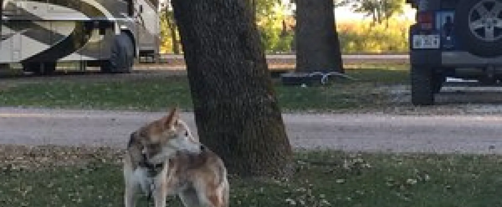 D & W Lake Camping & RV Park