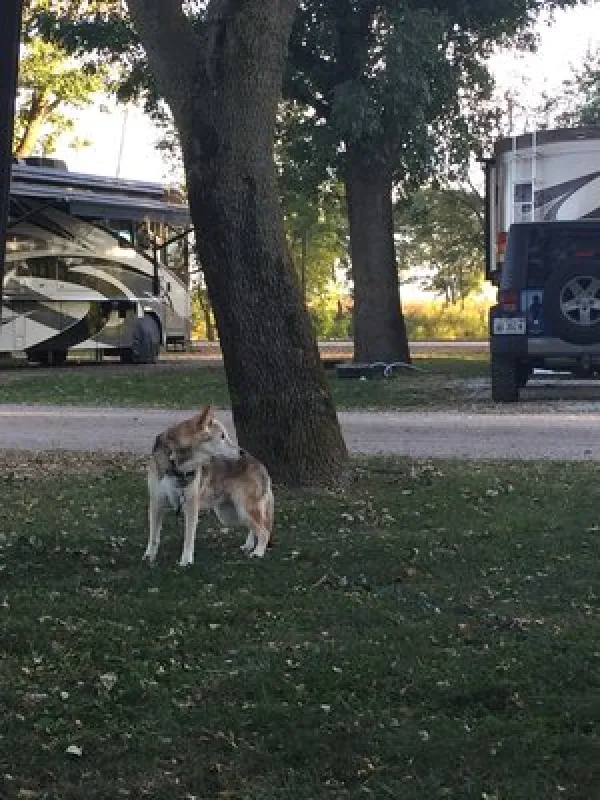 D & W Lake Camping & RV Park